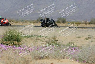 media/Feb-04-2023-SoCal Trackdays (Sat) [[8a776bf2c3]]/Turn 15 Inside Blooming (1050am)/